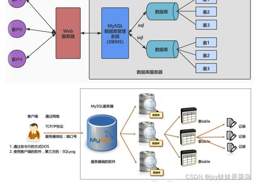 數(shù)據(jù)庫(kù)概覽與MySQL實(shí)戰(zhàn)指南 數(shù)據(jù)處理與存儲(chǔ)服務(wù)解析