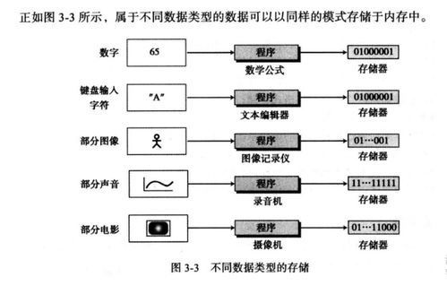 數(shù)據(jù)存儲(chǔ) 現(xiàn)代數(shù)據(jù)處理與存儲(chǔ)服務(wù)的核心價(jià)值與應(yīng)用